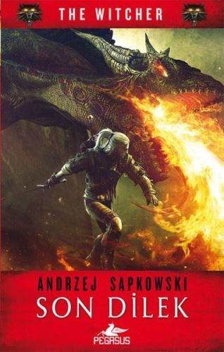 The Witcher 1 Son Dilek
