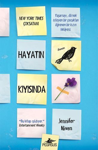 Hayatın Kıyısında Ciltli